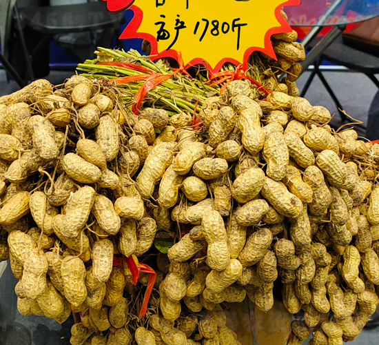 ������1̖(h��o)�����N��