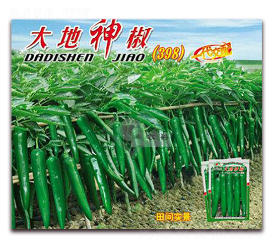 �����-��Ƥ���N��-�Sԣ�r(n��ng)�I(y��)