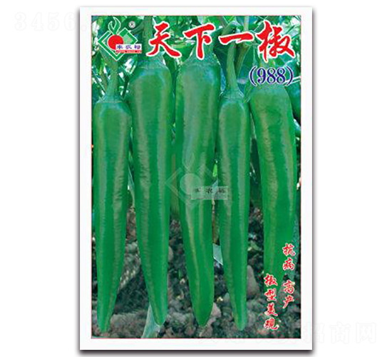 ����һ��-��Ƥ���N��-�Sԣ�r(n��ng)�I(y��)