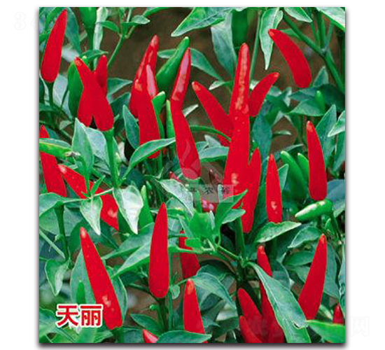 ����-���콷�N��-�Sԣ�r�I(y��)