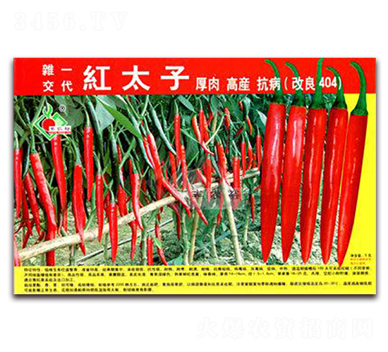 �t̫��-�t�⽷�N��-�Sԣ�r(n��ng)�I(y��)