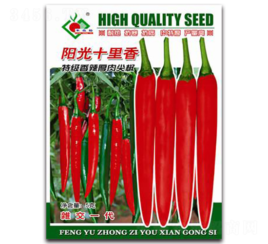 �(y��ng)��ʮ�����ؼ�(j��)��������⽷-�t�⽷�N��-�Sԣ�r(n��ng)�I(y��)