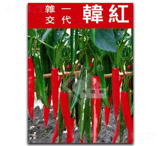 �n�t404-�t�⽷�N��-�Sԣ�r(n��ng)�I(y��)