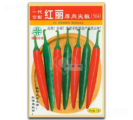 �t������⽷504-�t�⽷�N��-�Sԣ�r(n��ng)�I(y��)