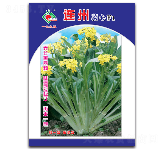 �B�ݲ���F1-���ķN��-�Sԣ�r(n��ng)�I(y��)