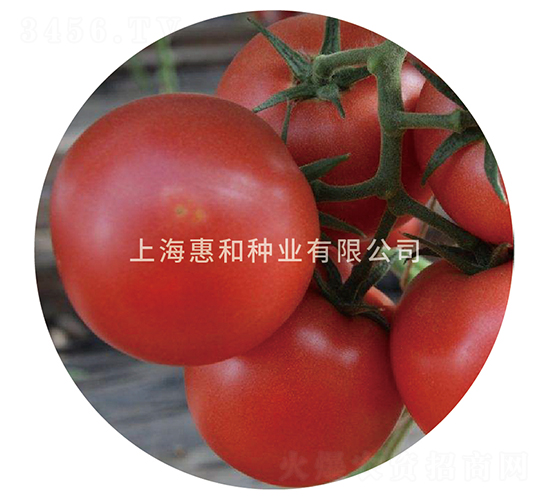 �����ö�̖(h��o)-���ѷN��-�ݺͷN�I(y��)