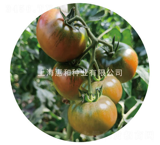 �ŵ���-���ѷN��-�ݺͷN�I(y��)