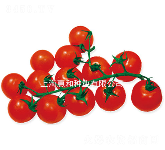 ����-С���ѷN��-�ݺͷN�I(y��)