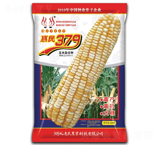 ����379-���׷N��-�����r(n��ng)�I(y��)