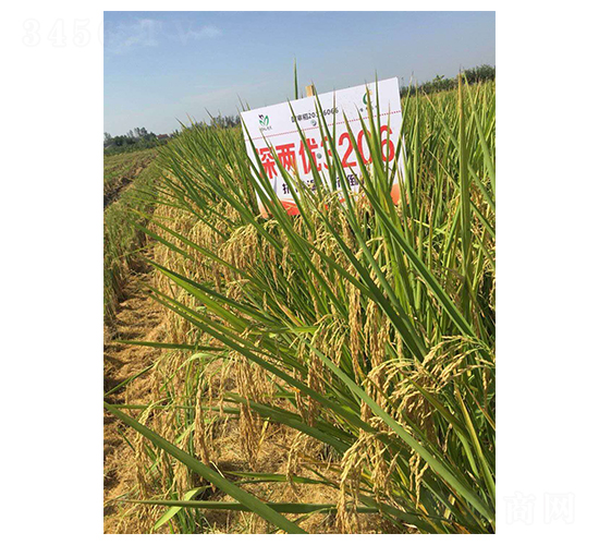 ��Ƀ�(y��u)3206-ˮ���N��-�����r(n��ng)�I(y��)