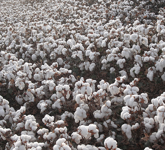 �����67̖(h��o)-�޻��N��-�����r(n��ng)�I(y��)