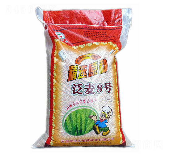 ����8̖-С���N��-����N�I(y��)