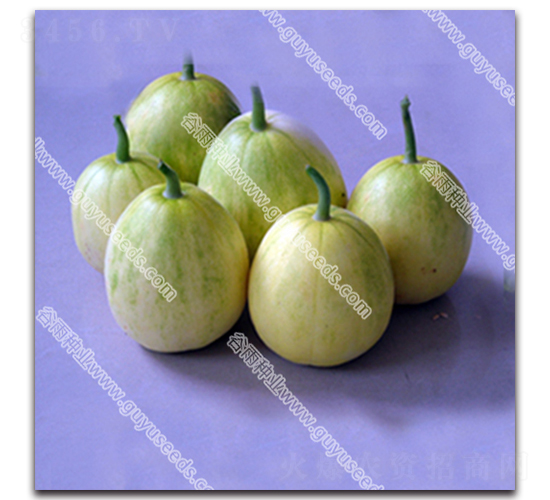 �n��11̖(h��o)���-��ϷN��-����N�I(y��)