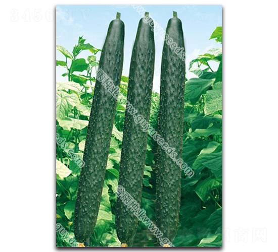 ����07-3�S��-�S�ϷN��-����N�I(y��)