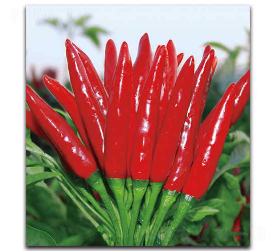 ����1012����-�����N��-����N�I(y��)