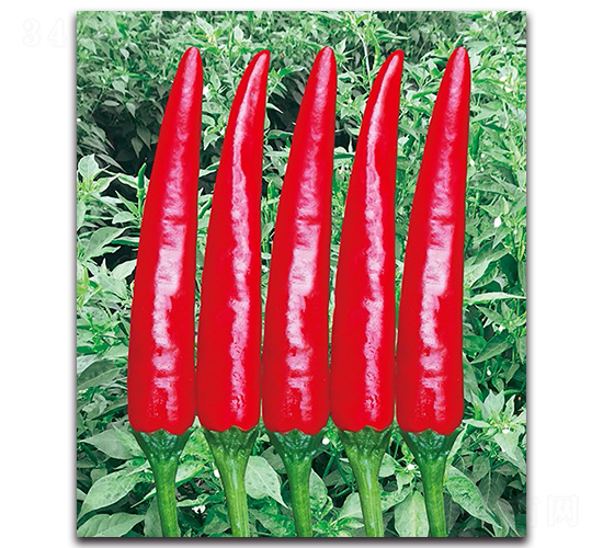 ����1017����-�����N��-����N�I(y��)