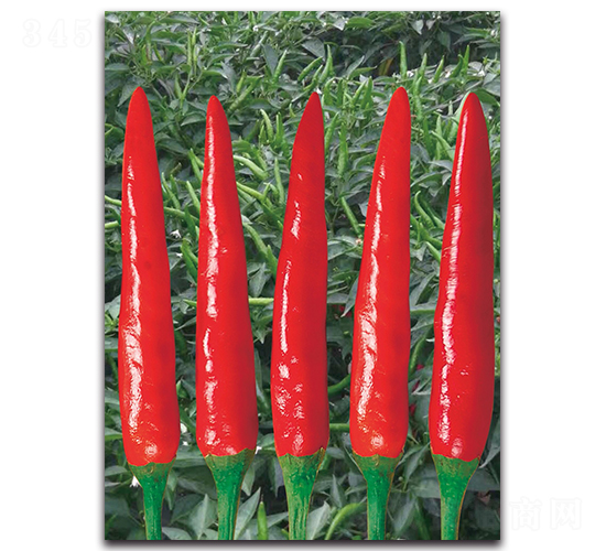 ����1011����-�����N��-����N�I(y��)