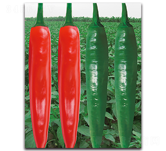 ����2062����-�����N��-����N�I(y��)