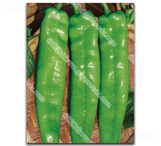 ����7090����-�����N��-����N�I(y��)