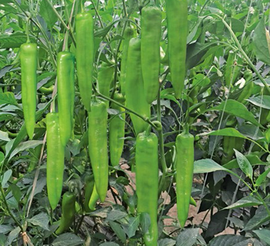 ���N9092����-�����N��-����N�I(y��)