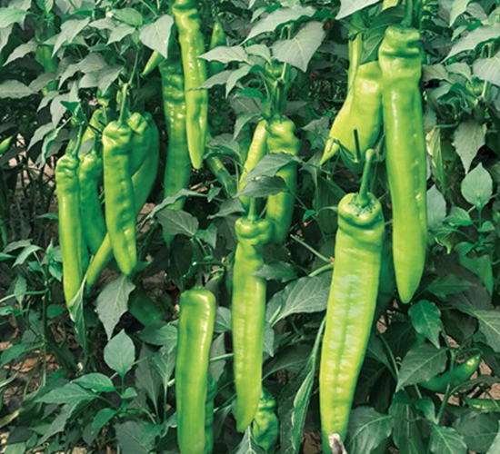 ���N8071����-�����N��-����N�I(y��)