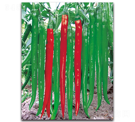 ����3031����-�����N��-����N�I(y��)