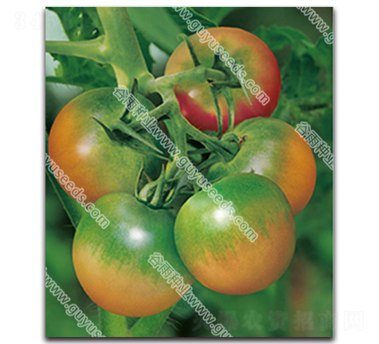 ��������һ̖-���ѷN��-����N�I(y��)