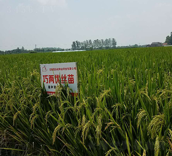 �ɃɃ�(y��u)�z��-ˮ���N��-ϲ����