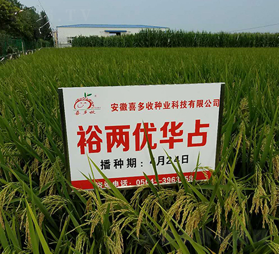 ԣ�Ƀ�(y��u)�Aռ-ˮ���N��-ϲ����