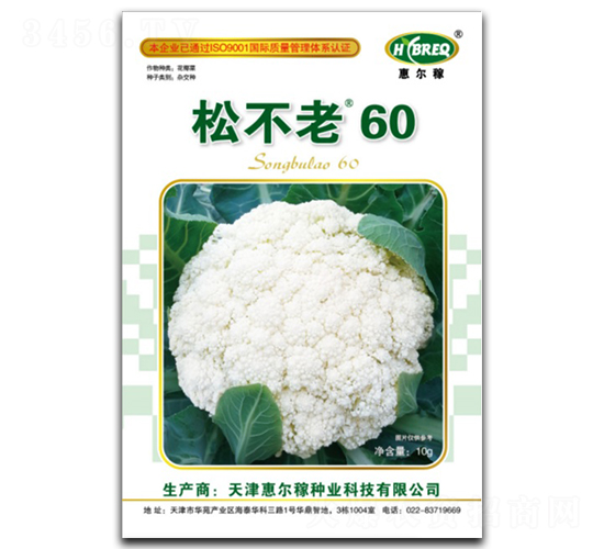 �ɲ���60-�ɻ��˷N��-�ݠ���