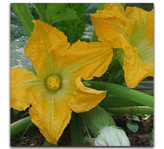 ���������J-�����J�N��-ʥ�A���S