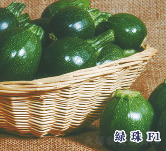 �G��F1-�����J�N��-ʥ�A���S