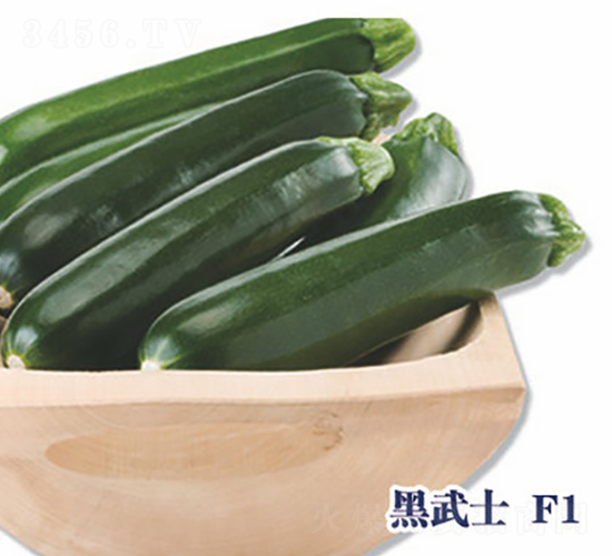 ����ʿF1-�����J�N��-ʥ�A���S