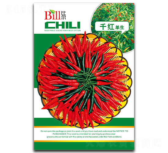 ǧ�t����-�����N��-�Ƞ�