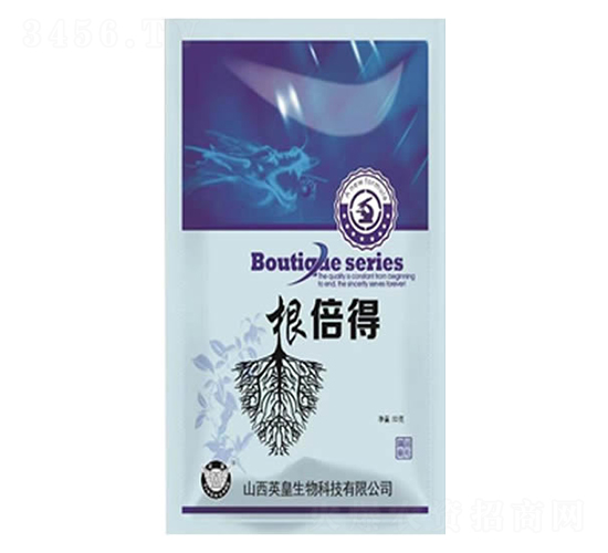 ������-Ӣ������