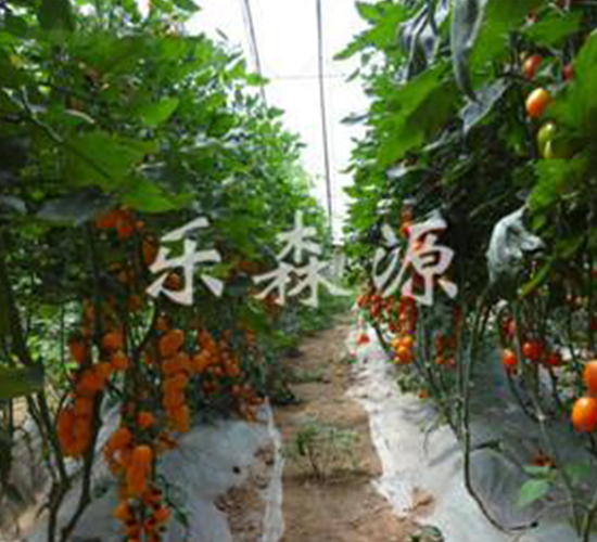 �S�ᭇ-���ҷ��ѷN��-��(l��)ɭԴ