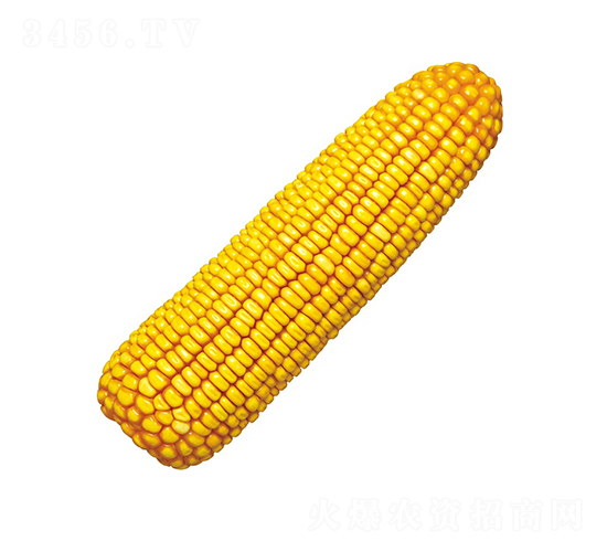 º��1̖-���׷N��-���r(n��ng)�l(f��)