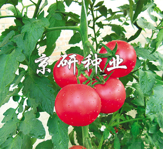 ����101-���ѷN��-����