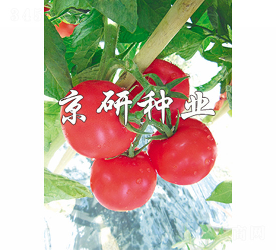 ����102-���ѷN��-����