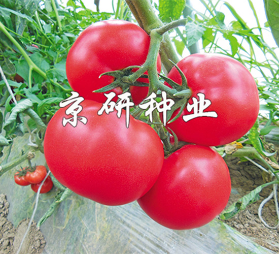 ����103-���ѷN��-����