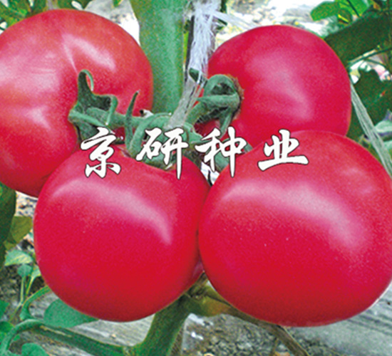 ����104-���ѷN��-����