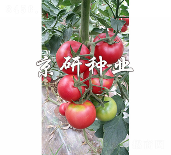 ����301-���ѷN��-����