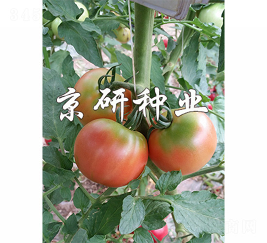 ����302-���ѷN��-����