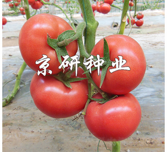 ����402-���ѷN��-����