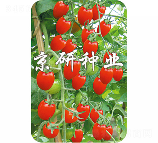 ����6̖(h��o)-���ѷN��-����