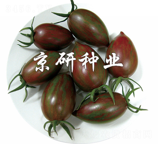 ����3̖(h��o)-���ѷN��-����