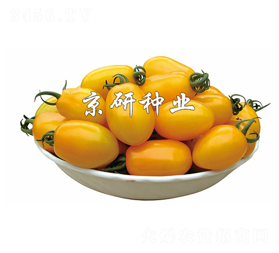 �S�L1̖-���ѷN��-����