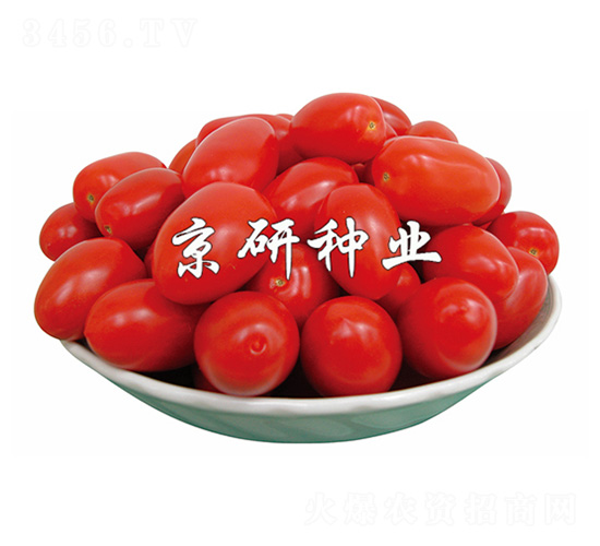 ����5̖(h��o)-���ѷN��-����