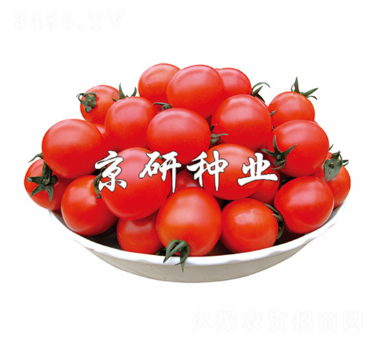 ����8̖-���ѷN��-����