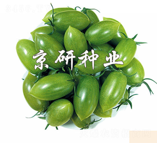 �G��ʯ2̖-���ѷN��-����